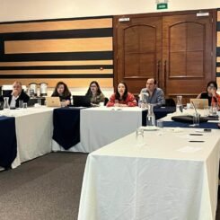 Primer Manual Algoritmos Glaucoma | Sociedad Ecuatoriana de Glaucoma
