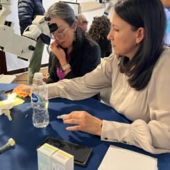 Taller Cirugía Angular en Glaucoma | Sociedad Ecuatoriana de Glaucoma