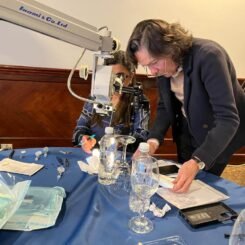 Taller Cirugía Angular en Glaucoma | Sociedad Ecuatoriana de Glaucoma