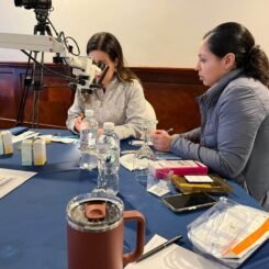 Taller Cirugía Angular en Glaucoma | Sociedad Ecuatoriana de Glaucoma